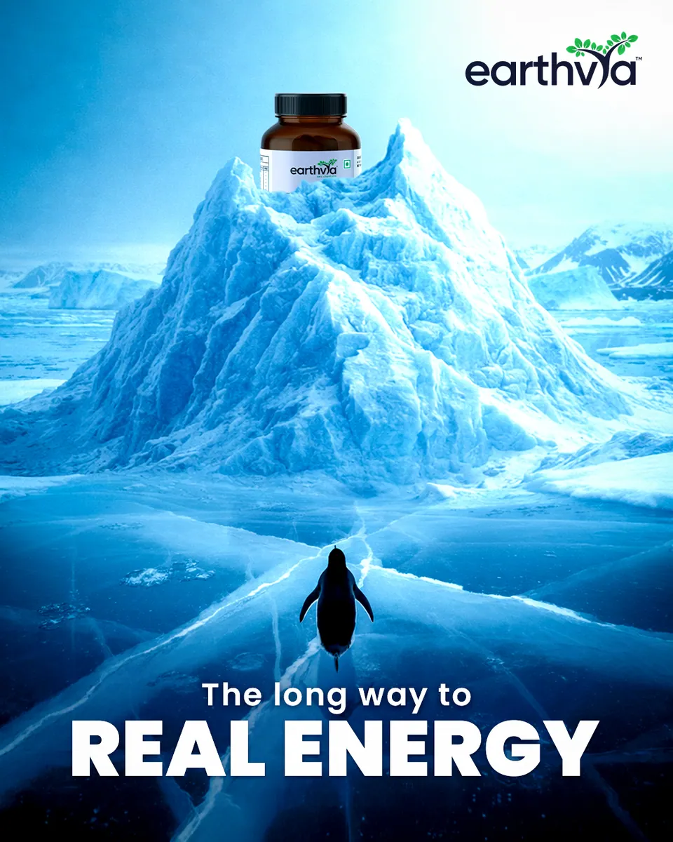 Earthvya Creative Poster