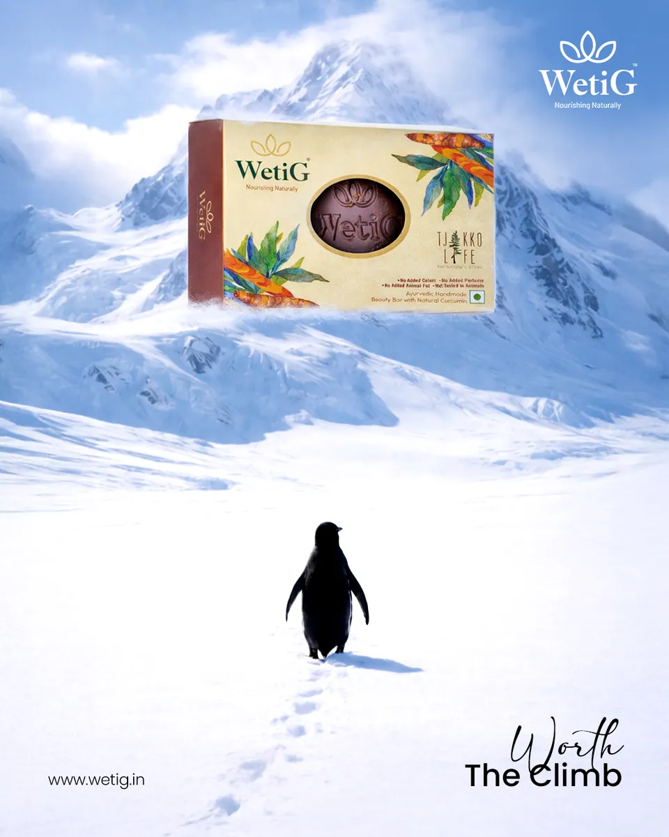 Wetig Creative Poster
