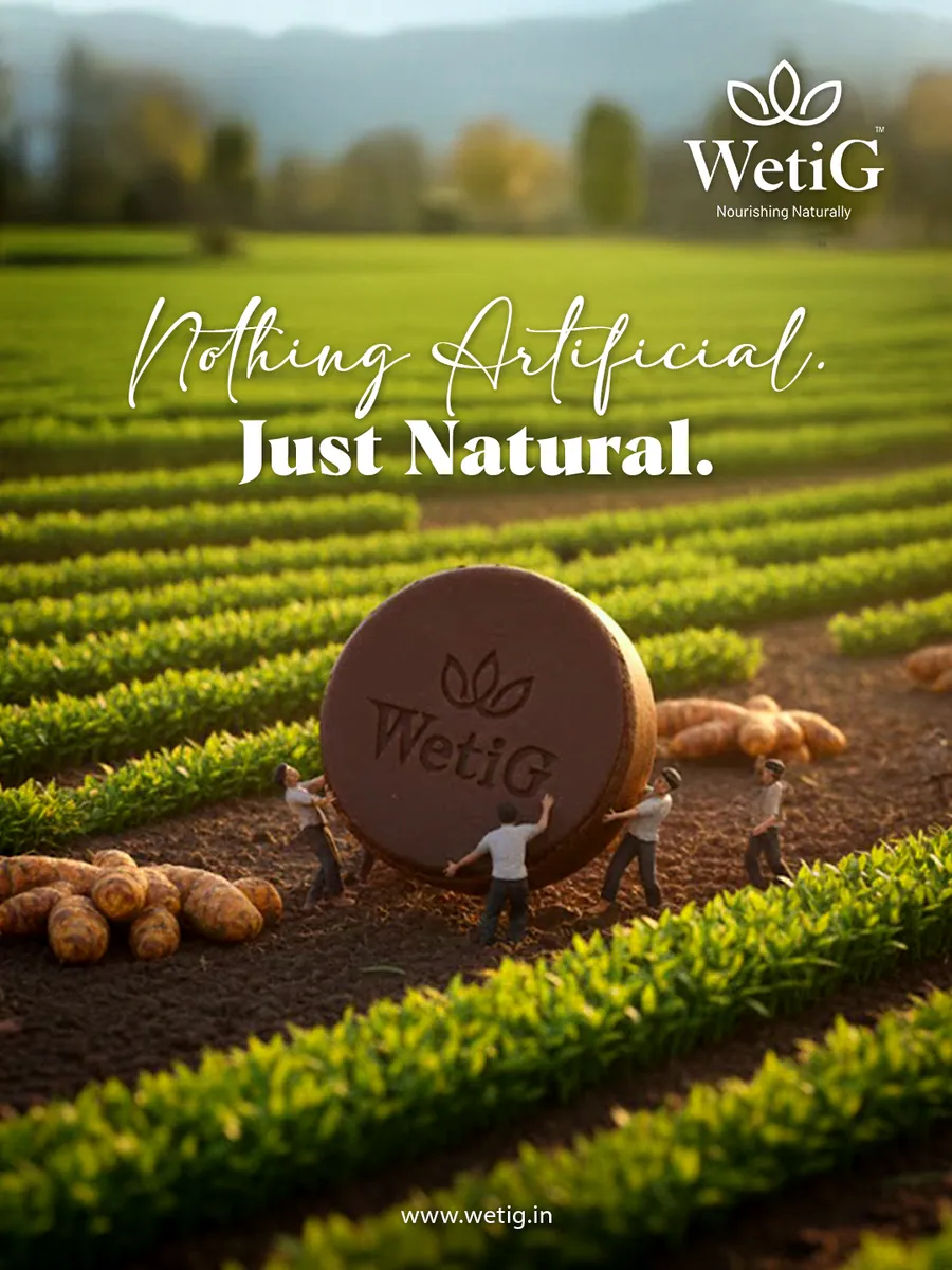 Wetig Creative Poster